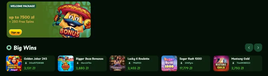 Casinacho